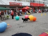 2010-09-0017