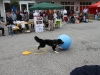 2010-09-0021
