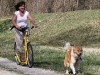 2011-04-03_zughunde_ela_5