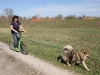 2011-04-03_zughunde_gimmick_5