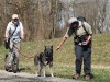 2011-04-03_zughunde_sheila_2